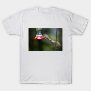 Feet don't fail me now! Red Squirrel T-Shirt